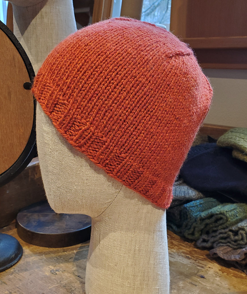 Basic Beanie in Blue Sky Fibers Woolstok