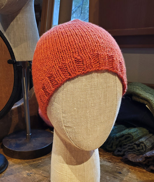 Basic Beanie in Blue Sky Fibers Woolstok